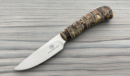 Jackal in Mammoth Molar