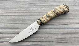 Jackal in Mammoth Molar