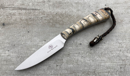 Fin & Fur in Mammoth Molar