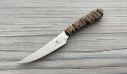 Porcupine in Mammoth Molar