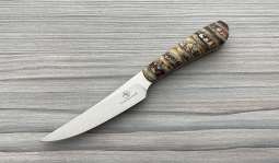 Porcupine in Mammoth Molar