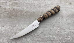 Porcupine in Mammoth Molar