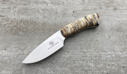 Gecko in Mammoth Molar