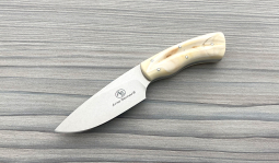 Gecko in Warthog Tusk