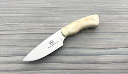 Gecko in Warthog Tusk