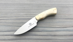 Gecko in Warthog Tusk