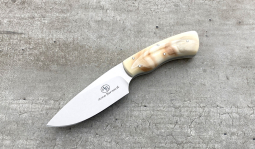 Gecko in Warthog Tusk