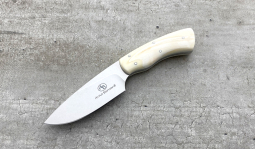 Gecko in Warthog Tusk