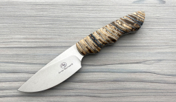 Great White in Mammoth Molar