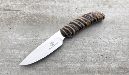 Wild Dog in Mammoth Molar