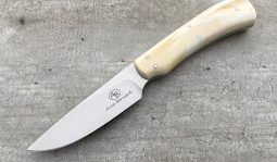 Jackal in Warthog Tusk