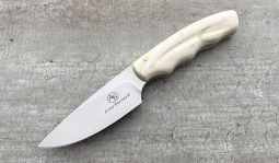 Squirrel in Warthog Tusk