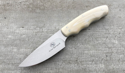 Squirrel in Warthog Tusk