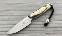 Bongo in Stabilized Warthog Tusk