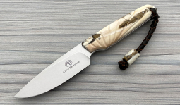 Bongo in Stabilized Warthog Tusk