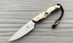 Marmoset in Stabilized Warthog Tusk