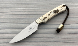 Marmoset in Stabilized Warthog Tusk