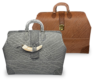 Exotic Leather Luggage & Bags
