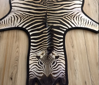 Zebra Rugs