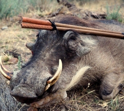 Build Your Own Exotic Wood Shooting Sticks