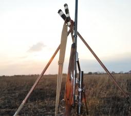 Dark Continent Shooting Sticks
