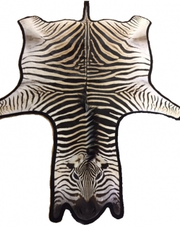 Zebra Skin - Grade A Felted